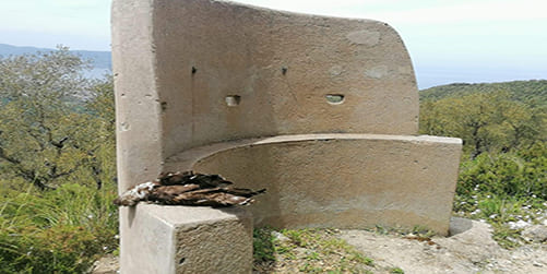 Nello stretto di Messina continua la strage dei rapaci migratori nelle zone di Solano, Campo Calabro, Villa San Giovanni e Reggio Calabria