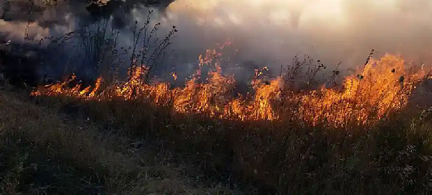 incendio boschivo