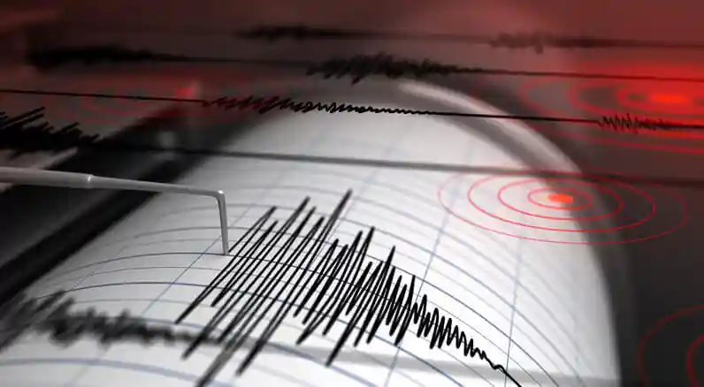 sismografo - terremoti - segnalazione terremoto